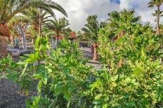 Oasis Royal - Corralejo - 6