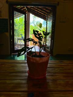 Bramha Home Stay - Canacona - 1