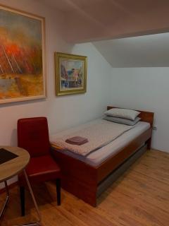 Apartments Iva - Kragujevac - 7