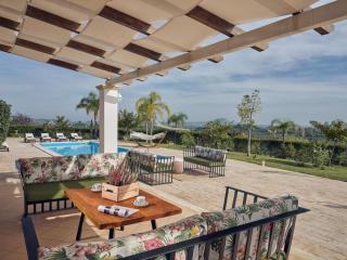Olive Grove Luxurious Villa with Private Pool Est - Mouzákion - 3