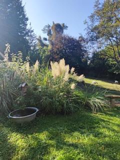 Au Pré de Mukky - 4