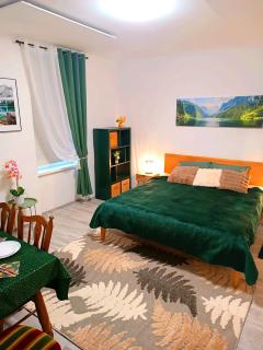 Family Apartments 2 room's centre Mürzzuschlag - Mürzzuschlag - 3