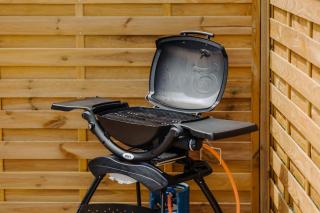 Pear Tree Pod with outdoor bath - Pet Free near Bude - Bridgerule - 3