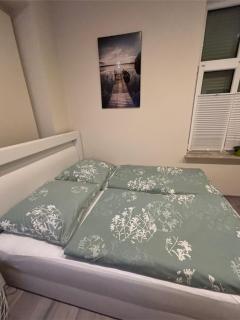 Ferienwohnung am Froser See - Frose - 1