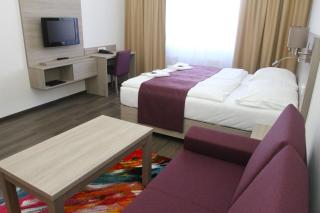 Hotel Palác Elektra - Ostrava - 8