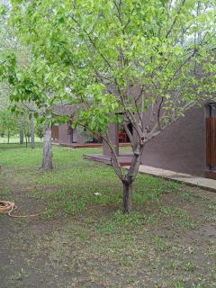 La Divina Pereza Eco - San Rafael - 2