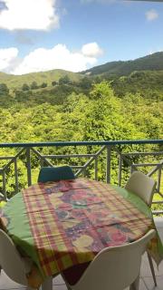 Appartement spacieux à Sainte-Luce de 80 m² avec piscine - 8