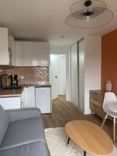 Nice studio close to Paris - Maisons-Alfort - 9