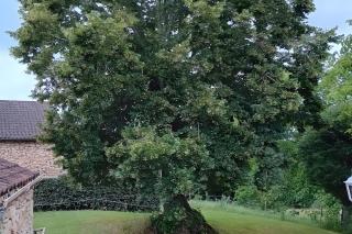 La Maison De Carmensac - 1