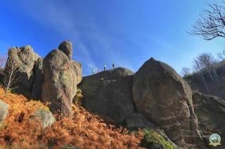 Dome home tent Povlen - Taor - 6