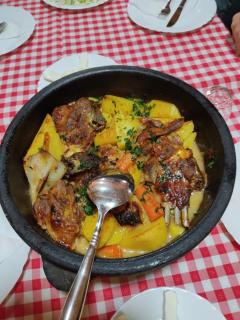 Dome home tent Povlen - Taor - 1