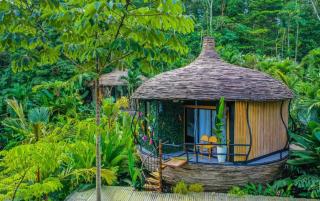 Arenal Palms - San Francisco - 5
