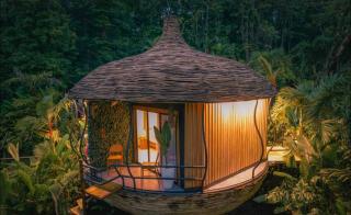 Arenal Palms - San Francisco - 9