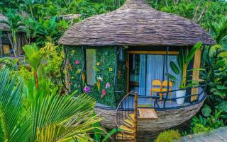 Arenal Palms - San Francisco - 6