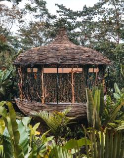 Arenal Palms - San Francisco - 8