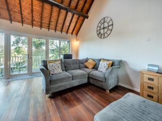 Plas Bach Cottage - Llandeilo - 8