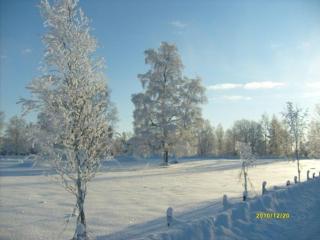 Awesome Home In Åseda With 2 Bedrooms And Wifi - Åseda - 3