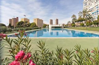 Lovely studio in the city centre - Benidorm - 8