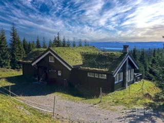 Luxury cabin Sjusjøen with hot tub, ski in-out, fireplace & WiFi - Ringsaker - 0