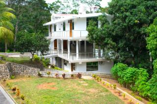 Resort Hotel Park Tarapoto - Tarapoto - 5