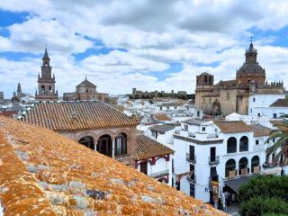 Plaza San Fernando - Carmona - 0