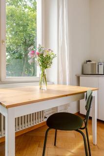 New tiny studio 1 near University & Hospital - Basel - 8