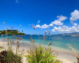 Tropicvirgin studio vue mer, 150m de la plage - Les Trois-Îlets - 0