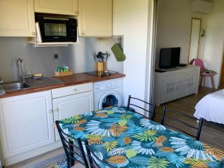 Tropicvirgin studio vue mer, 150m de la plage - Les Trois-Îlets - 3