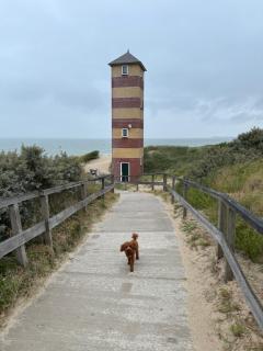 Beach House Hillasol DISHOEK - Koudekerke - 9