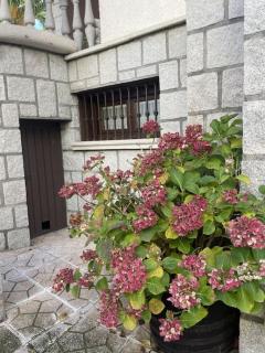 vivienda de uso turístico Maestro - El Barraco - 6