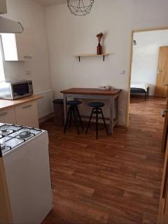 Zastávka v lázeňském trojúhelníku - apartmán 3 - - 8