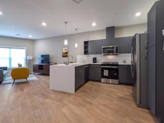 224 Brand New 1 Bedroom 1 Bath 1 Kitchen 1 Liv - 2