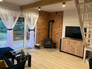 Domek drewniany nad stawem z sauną i jakuzzi - Międzyborów - 1