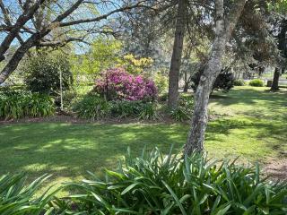 The Old Rose Farm House - Eurobin - 8