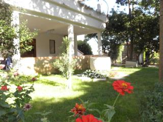Apartments Ivo - Pag - 4