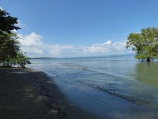 Corcovado Beach Lodge - Puerto Jiménez - 5