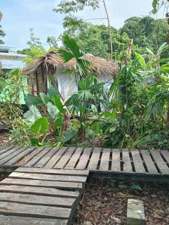 Faro 13 Cabina con baño privado 2 personas - 1