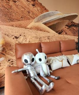 Urban Suite 3BR The Martian 2Cp #Netflix - Jelutong - 9