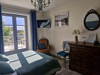 Chambre PMR tout confort avec terrasse en bord de canal, animaux acceptés, proche centre-ville de Briare - FR-1-590-368 - Briare - 8