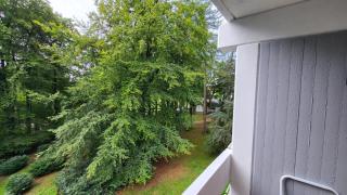 Ferienwohnung am Kurpark Ehlscheid - Ehlscheid - 4