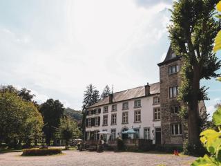 Beautiful Apt 6, 16thC Castle - Aywaille - 6