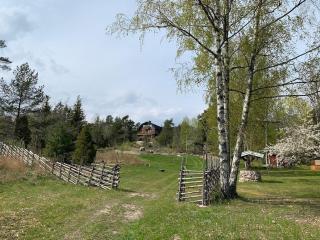 Stunning Home In Ljusterö With 3 Bedrooms And Wifi - Ljusterö - 2