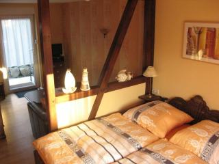 Kranichnest Comfortable holiday residence - Zingst - 7