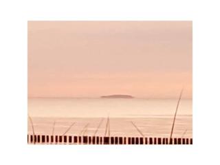 Kranichnest Comfortable holiday residence - Zingst - 1