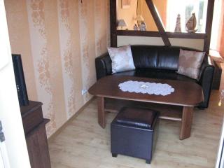 Kranichnest Comfortable holiday residence - Zingst - 5
