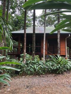 Wildwood - Cape Tribulation - 1