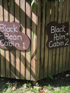 Wildwood - Cape Tribulation - 5
