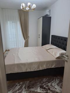 Apartman Vlado Podgorica - Podgorica - 3