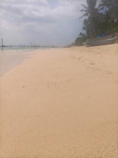 Ceylon Sungarden - Habaraduwa - 7