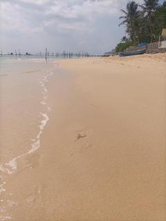 Ceylon Sungarden - Habaraduwa - 9